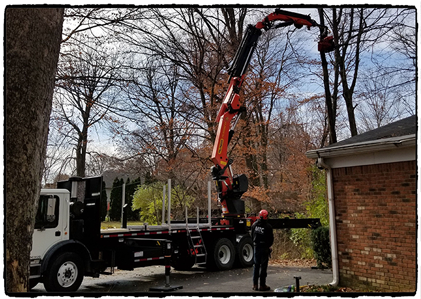 Tree Pruning Indianapolis - Indianapolis (940x430), Png Download