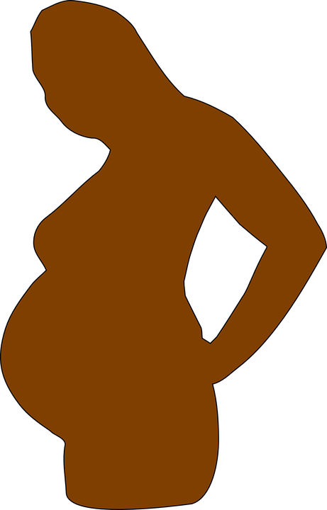 About Positive First Response Pregnancy Test On Earliest - Pregnant Woman Silhouette Transparent (461x720), Png Download
