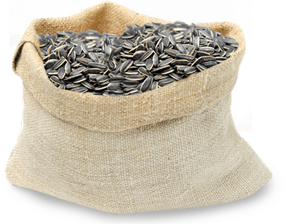 Sunflower Seeds - Flax (451x351), Png Download