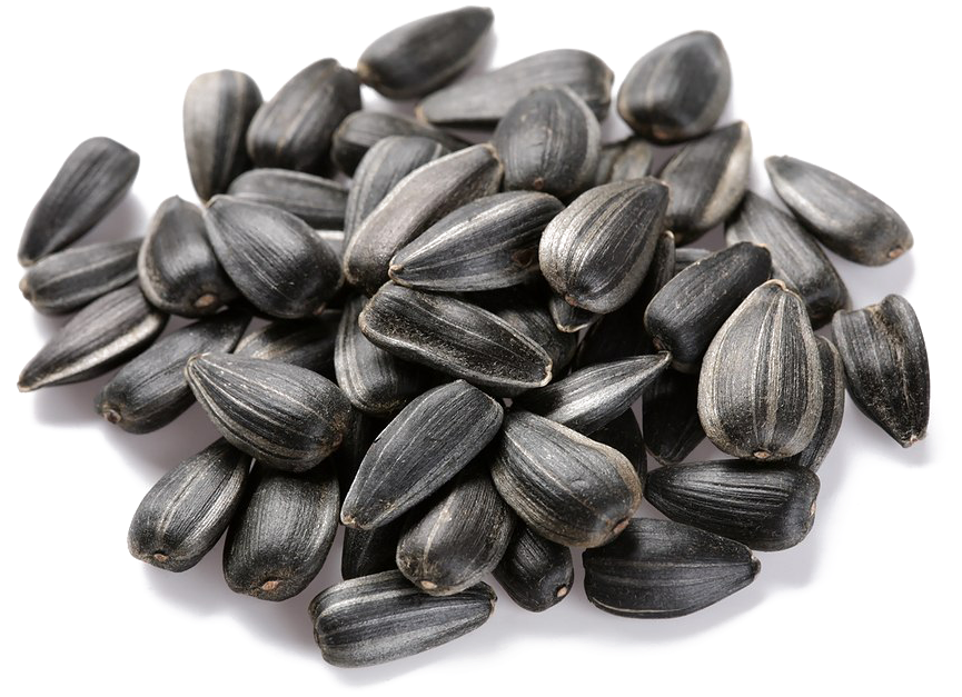 Sunflower Seeds Free Png Image - Sunflower Seeds Png (900x675), Png Download