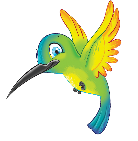 Color (600x600), Png Download