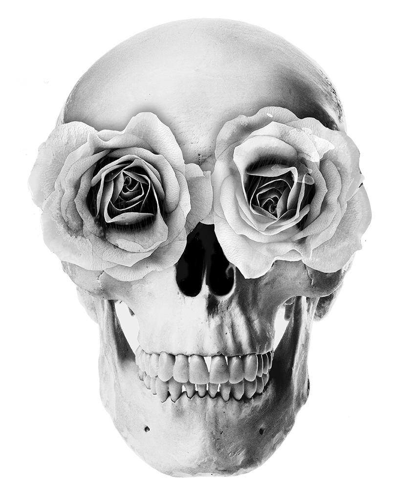 Livro - Além Da Matéria (1134x1701), Png Download