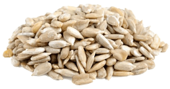 Sunflower Seeds Png Download Image - Sun Flower Seed Png (800x800), Png Download