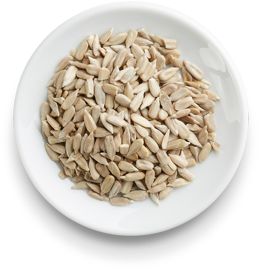 Sunflower Seeds - Seed (600x600), Png Download