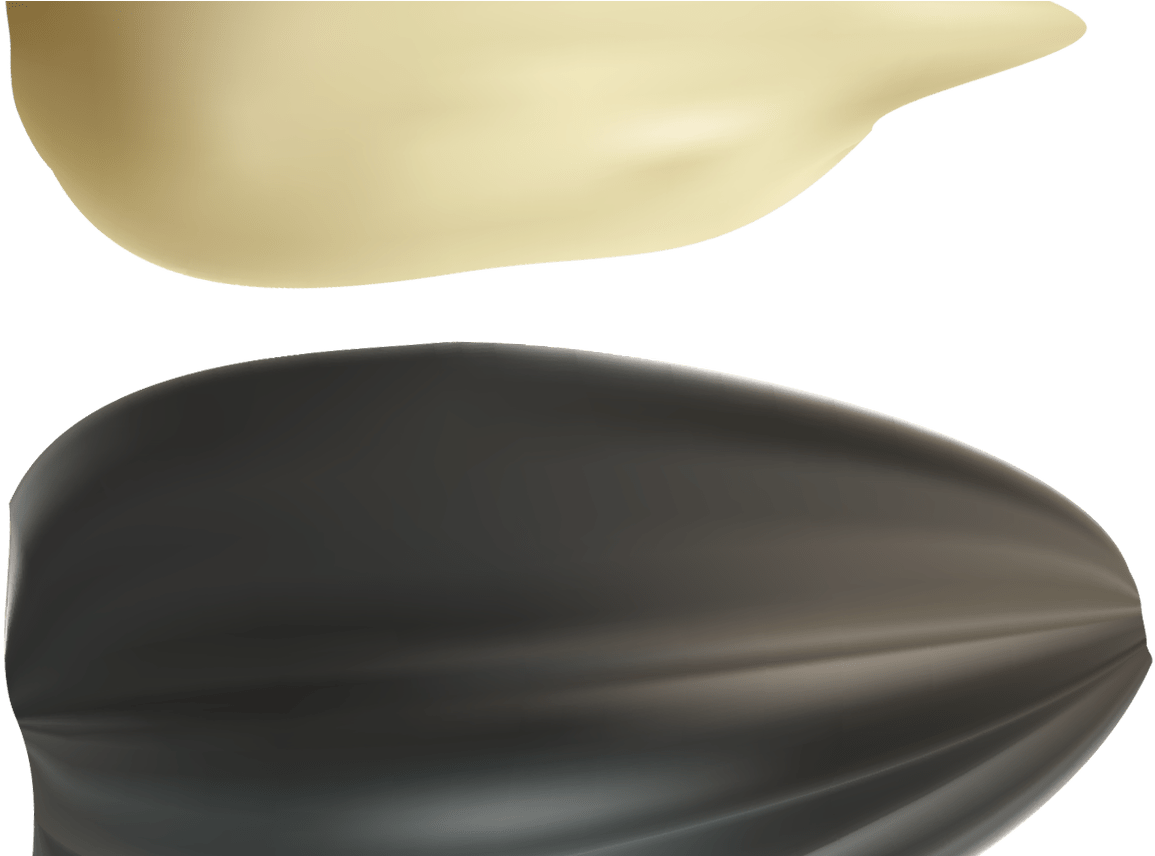 Sunflower Seeds Png Clipart Best Web Clipart - Portable Network Graphics (1368x855), Png Download