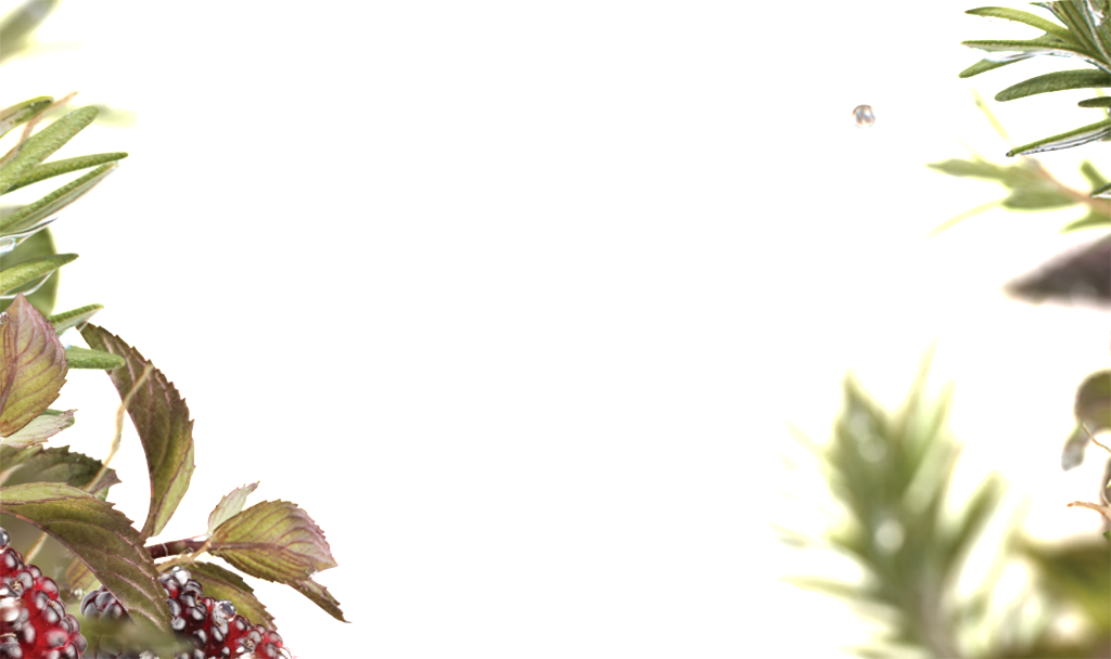 Dry Leaf Border Transparent - Portable Network Graphics (1024x608), Png Download