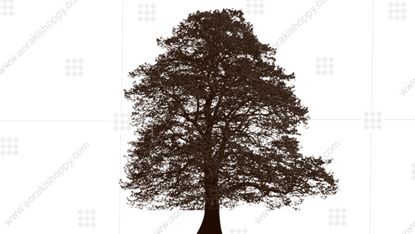 Dry Tree - Tree (600x338), Png Download