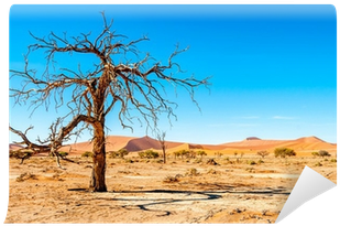 Poster: Milosk50's Dry Tree, 61x41cm. (400x400), Png Download