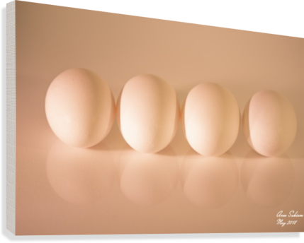 White Egg On Canvas Warm Light Version Canvas Print - Boiled Egg (429x344), Png Download