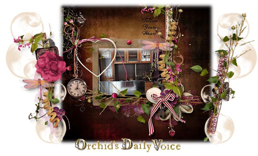 Our 15 Years Old Tv Broke - Garden Roses (855x522), Png Download