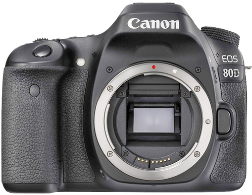 Canon Eos 40d Body (498x498), Png Download