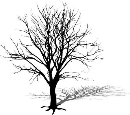 White Tree Silhouette Png Kunst & Design - Schatten Baum (450x398), Png Download