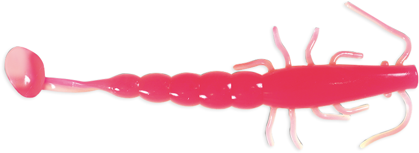 7′ Paddle Prawn 216 Pink Glow - Insect (1000x500), Png Download