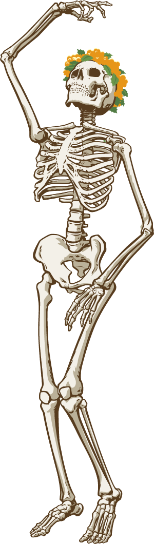 Gd Skeleton Grateful Dead - Sunshine Daydream (veneta,oregon,8/27/1972) Dvd (300x1060), Png Download