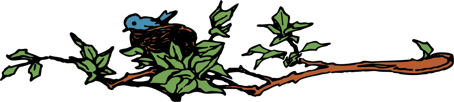 Bird Nest Branch Egg - Bird Building A Nest Clipart (1512x340), Png Download