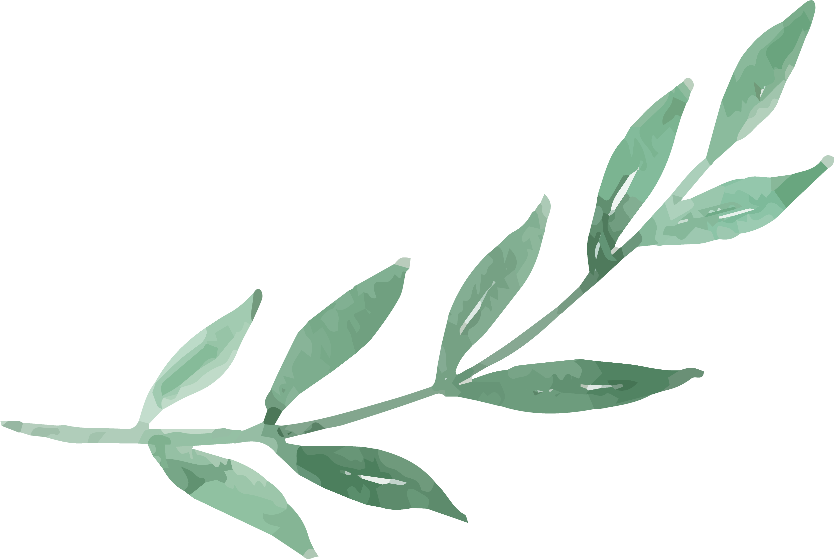 Branch-01 - Flower (5000x2500), Png Download