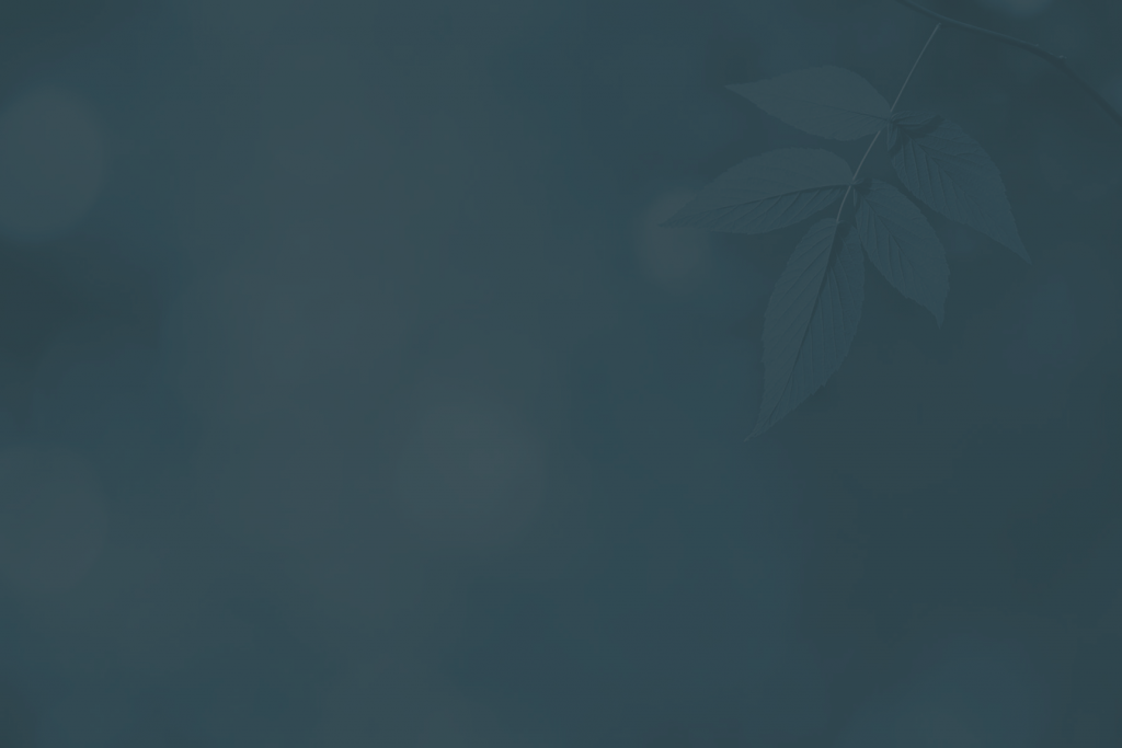 Fondo Azul Hoja 93 - You Scriptures - Trade Paperback (1024x683), Png Download