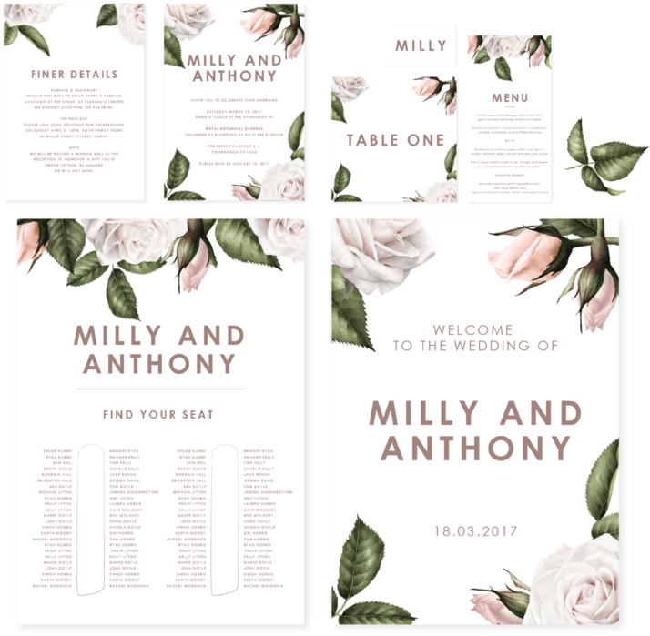 Milly Flat Lay-01 - Portable Network Graphics (1000x988), Png Download