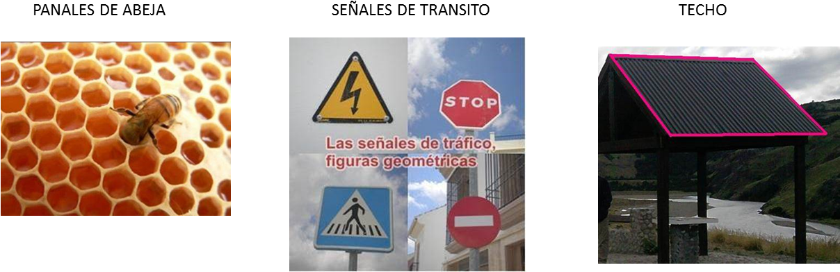 Tanto Los Presentes En La Naturaleza Como Los Creados - Mira Como Crece! Set [book] (1207x401), Png Download