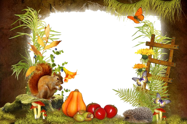 Cadres Et Bordures - Abert's Squirrel (600x399), Png Download