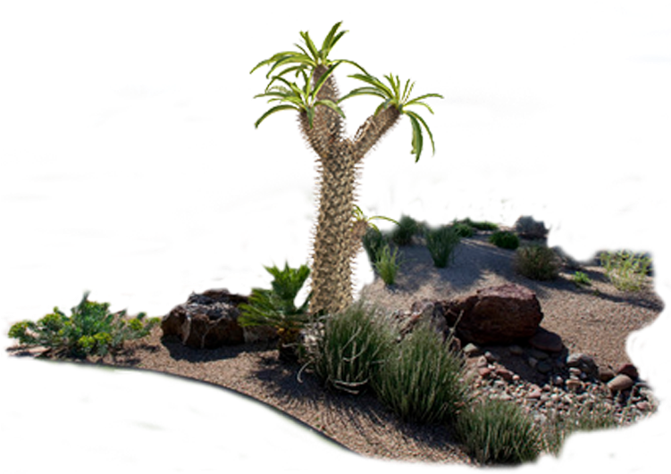 Product Item - Product (750x750), Png Download