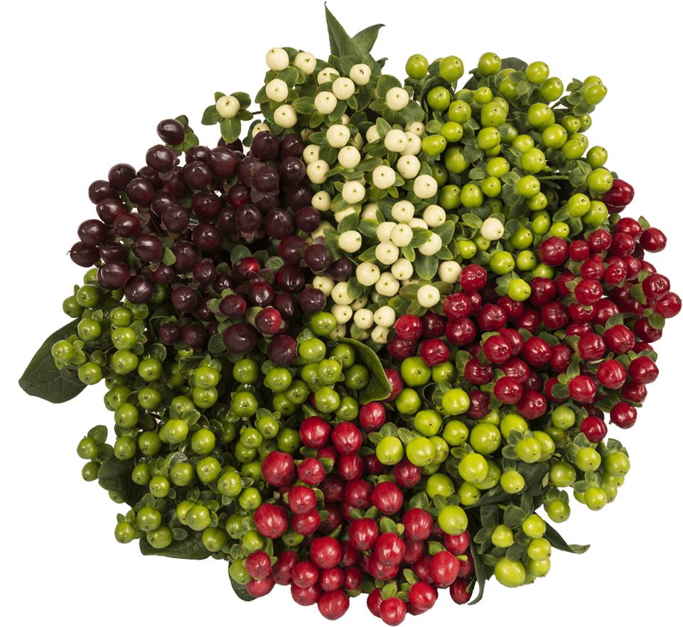 Seedless Fruit (1020x900), Png Download