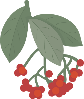Use These Pretty Botanical Berries On Your Next Paper - Svgcuts.com Blog (340x398), Png Download