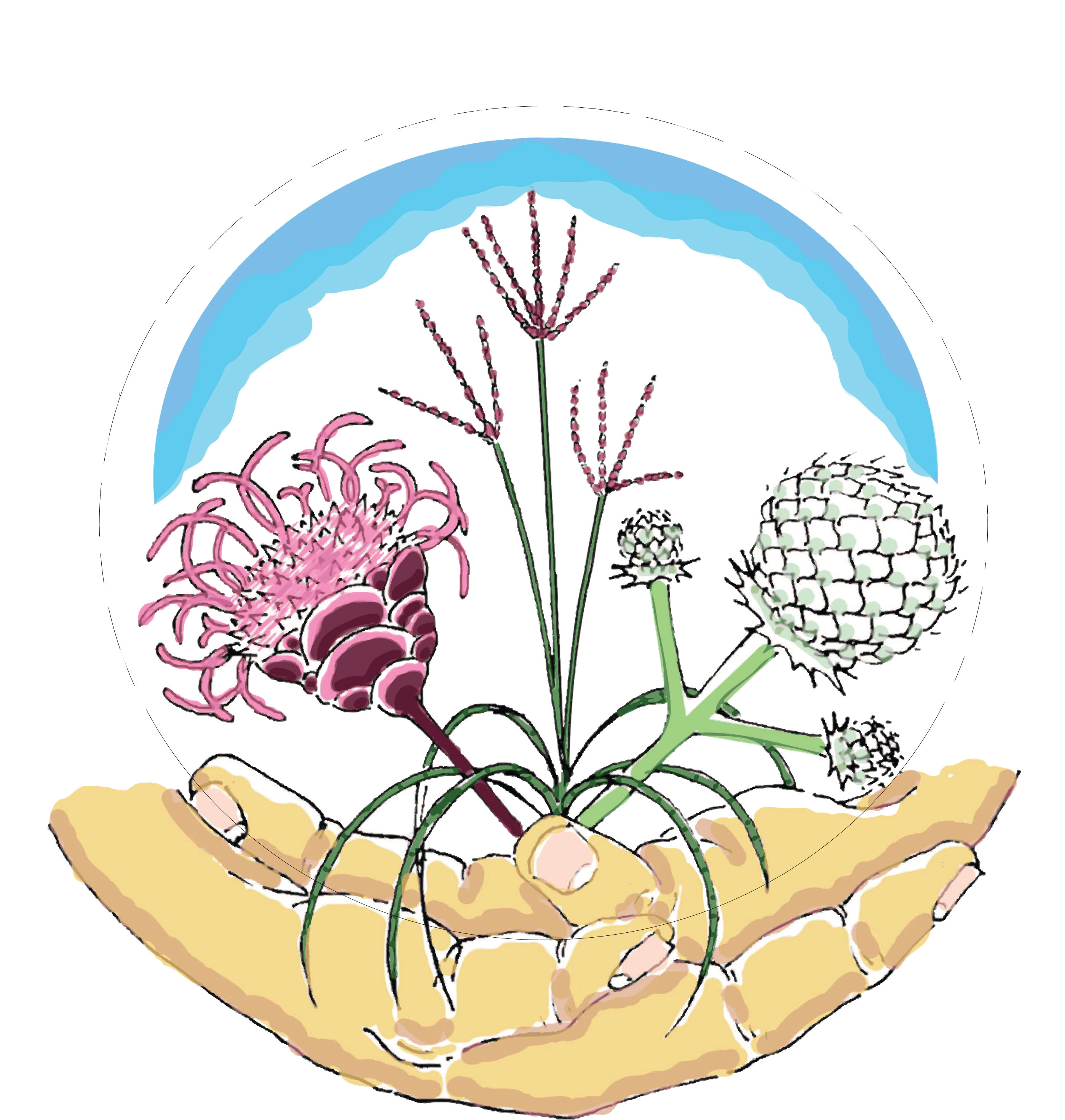 Native Plants & Landscape Consulting In Oakland County - Creating Sustainable Landscapes Llc (3108x3024), Png Download