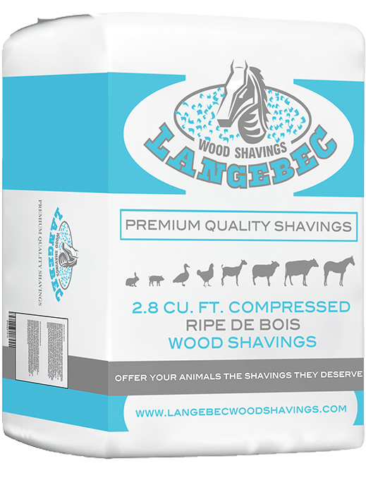 Medium Flake Wood Shavings - Wood (800x680), Png Download