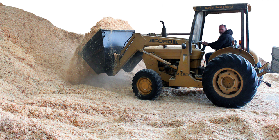 Eco-friendly, Premium Quality Shavings - Horse (960x482), Png Download