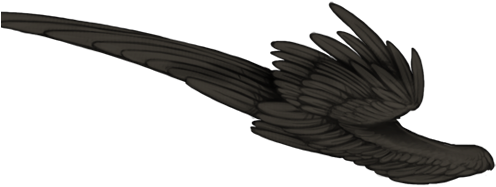 Raven (640x500), Png Download