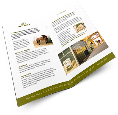 Find Out More About Our Screening Process - Flyer (400x396), Png Download