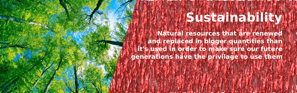 Welcome To Orbit Wood & Shavings - Poster (960x300), Png Download