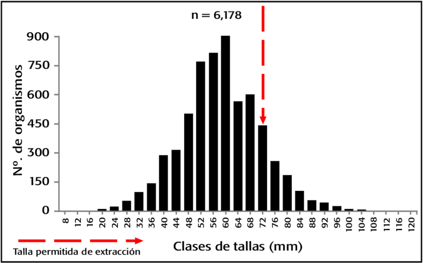 En La Laguna De Tampamachoco, Veracruz, México, En - Total Harmonic Distortion Chart (850x544), Png Download