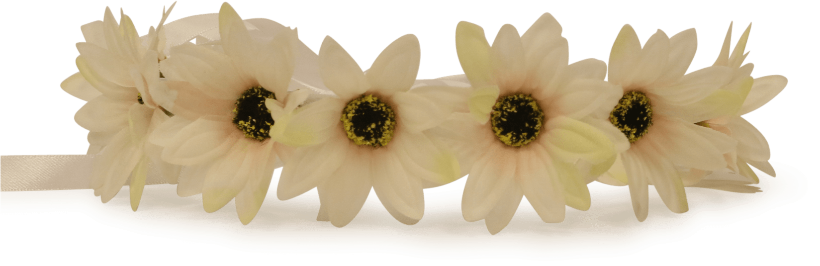 Awesome White Flower Crown Transparent Pictures Wedding - Flower (1649x1215), Png Download