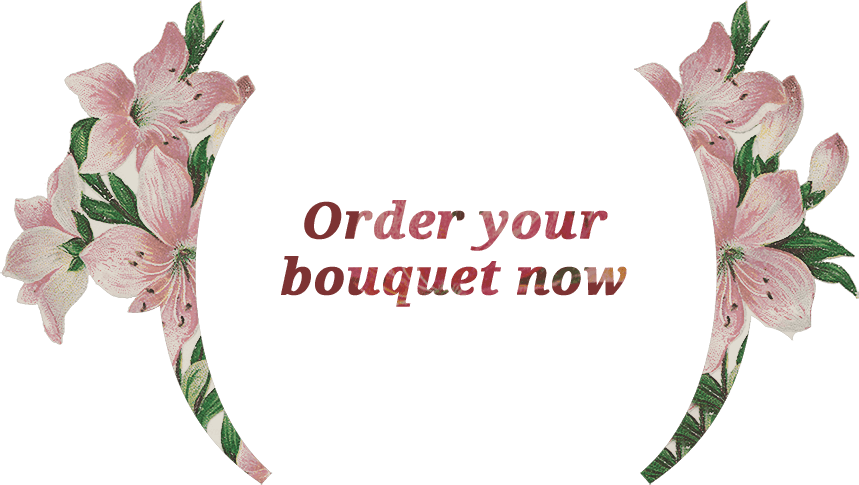 Home Flower Slide31 - Peruvian Lily (859x485), Png Download