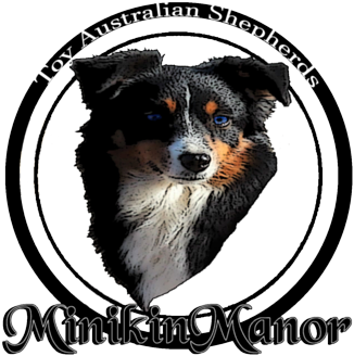 Home - Bernese Mountain Dog (400x400), Png Download