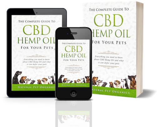 H3 Essentials - Probiotics For Dogs - For Immune (514x440), Png Download