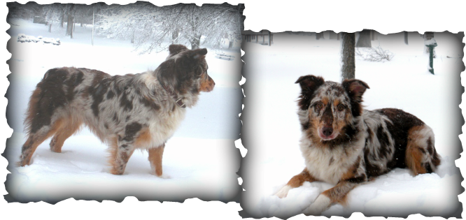 I Am Putting Tandi Here Because We Are Considering - Ayungon Nhs (666x315), Png Download