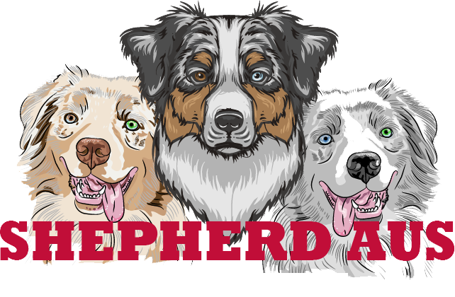 Australian Shepherd 9 - Unisex Tanktop (642x420), Png Download