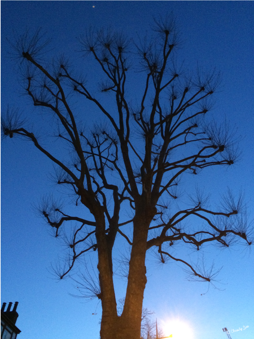 Taken In London, United Kingdom With An Iphone - Silhouette (1920x1080), Png Download