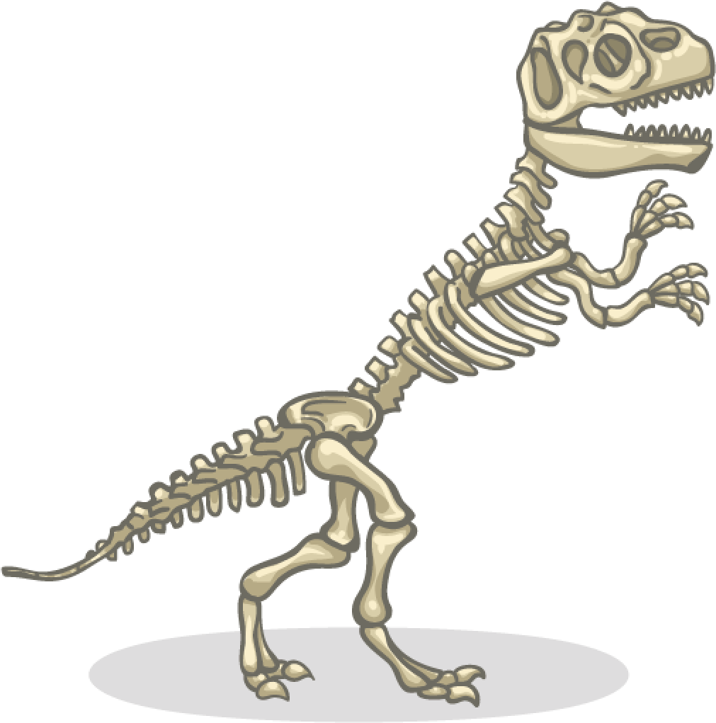 Dinosaur Skeleton - Skeleton Of A Dinosaur (1024x1024), Png Download