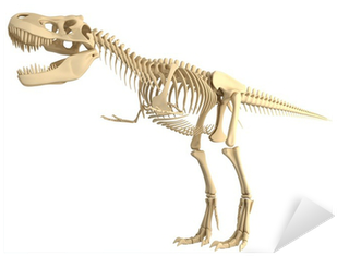 Tyrannosaurus 中文 (400x400), Png Download