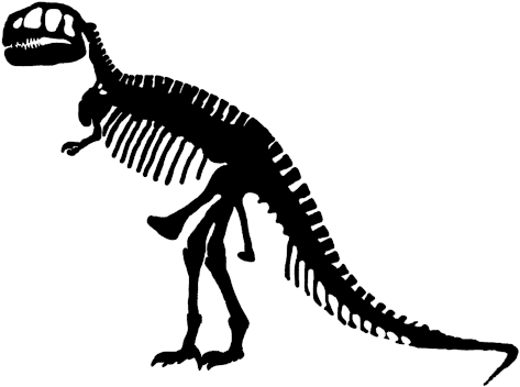 Tyrannosaurus Rex Skeleton By Steph J - Tyrannosaurus Rex Postkarte (600x428), Png Download