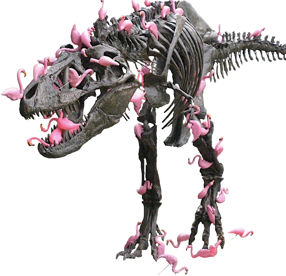 Animalpink Flamingos On A T-rex - Jpeg (1004x906), Png Download