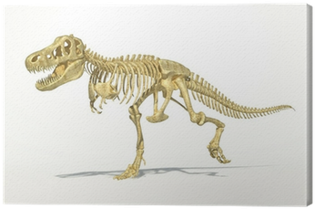 T Rex Dinosaur Full Skeleton, Photo Realistic, Scientifically - T Rex Dinosaur Skeleton (400x400), Png Download