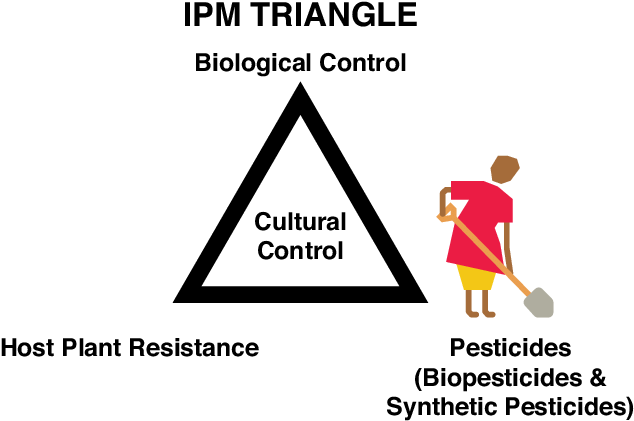 Caution 60 Year Old (776x477), Png Download