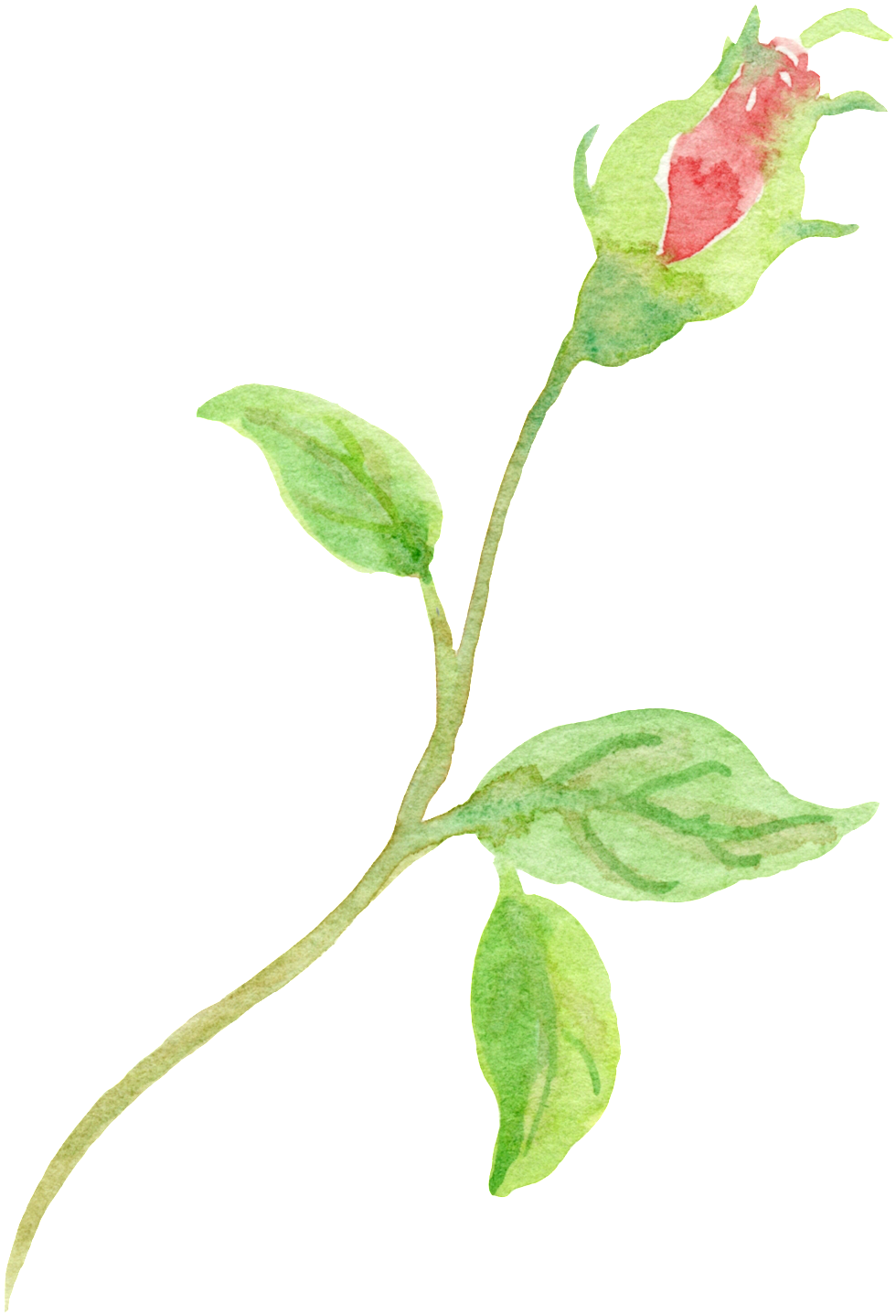 Beautiful Bunch Of Flowers Cartoon Transparent - Flower (1024x1451), Png Download