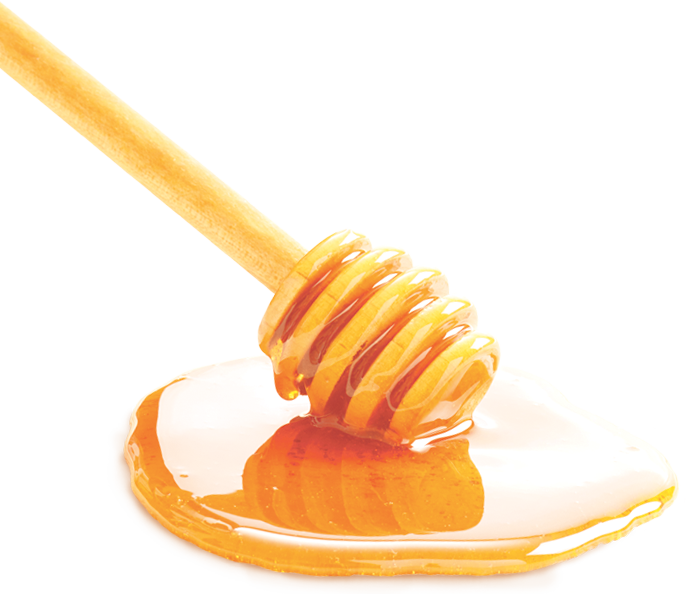 Miel Png - Miel En Png (686x594), Png Download