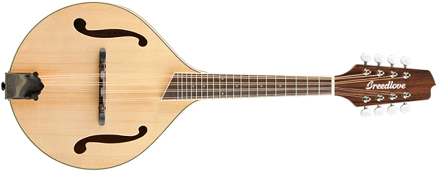 Cort Sfx Ab Nat (722x251), Png Download